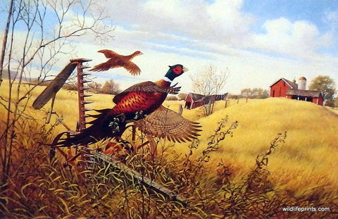 Art print of a farm with pheasants in the field