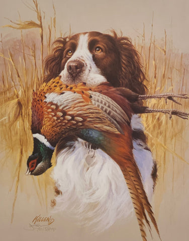 James Killen Springer Spaniel Hunting dog and Pheasant Art Print S/N