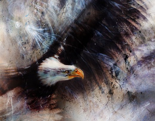 wildlife prints