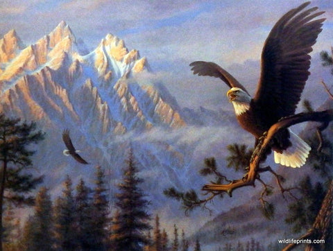 Mountain Art