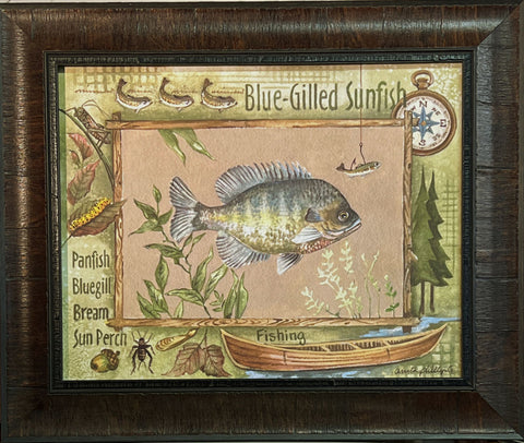 Anita Phillips Blue-Gilled Sunfish Studio Canvas Art Print-Framed 16.5 x 13.5