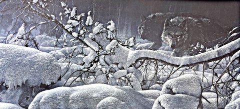 Collin Bogle Snow Pack Wolve Art Print- Image 31 x 15.5 Plus Border- Signed and Numbered w Cert