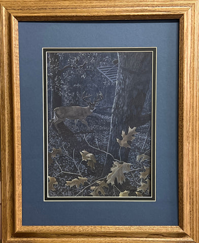 Scot Storm Nocturnal Giant Deer Buck Art Print-Framed 17 x 21