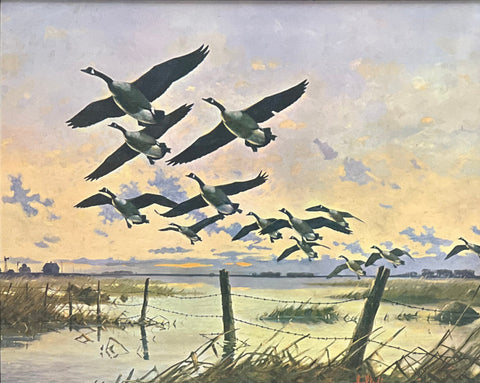 Les Kouba, Canada Geese Open Art Print (20x16)