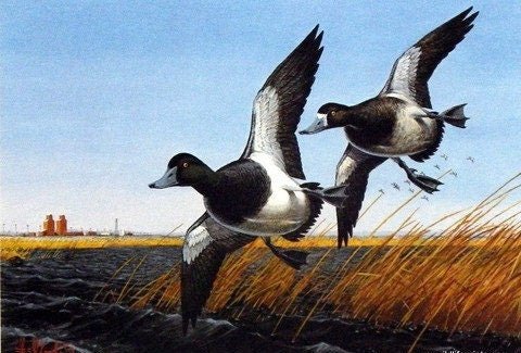 1985 North Dakota Duck stamp print S/N Art Print