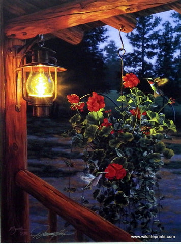 Darrell Bush Sweet Attraction  Hummingbird Art Print- 12" x 16" Signed Only