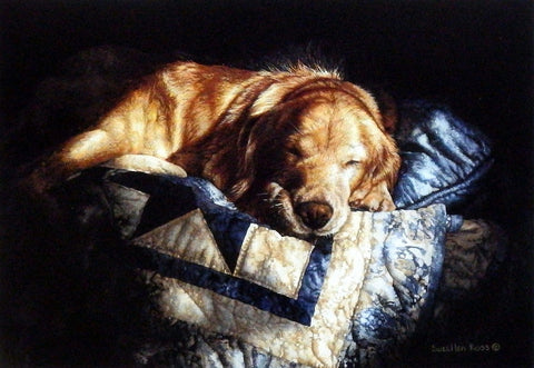 Sueellen Ross Snooze - 13"x9" Signed Edition