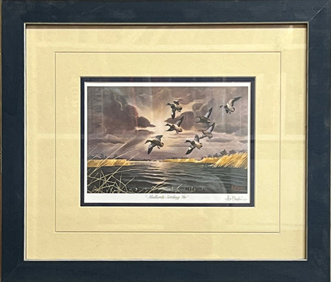 Kouba, Mallards Settling In-Framed Duck Art Print-16.5 x 14
