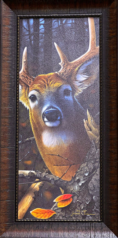 Jerry Gadamus Peek A Boo Buck Deer Art Print-Framed 14 x 28