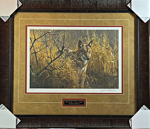 Robert Bateman Red Wolf S/N Art Print-Framed 28.5 x 24.5