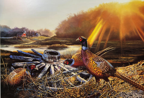 Marion Anderson Signed and Numbered Pheasant Art Print September Sunrise (25"x18")