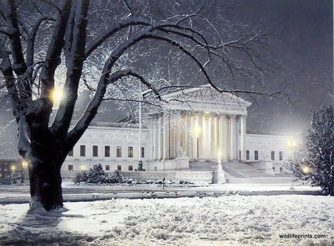 Rod Chase Justice For All - 12"x9"