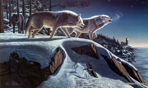 Kim Norlien Moon Light Prowlers - 29"x 15.5"- Open Edition