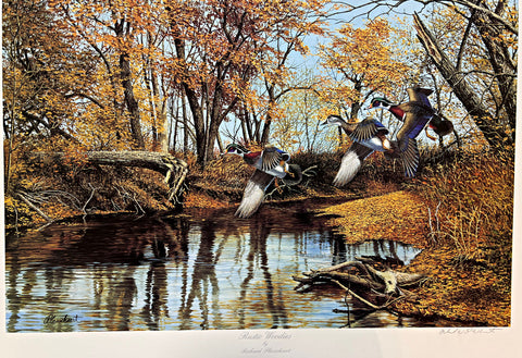 Richard Plasschaert  Rustic Woodies Duck Art Print-Signed 25 x 16.5
