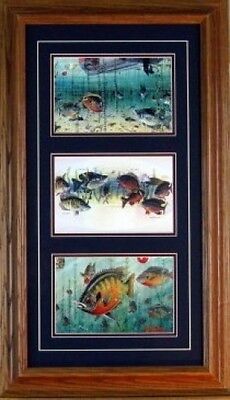Panfishing Trilogy Framed by Les Kouba 24 x 14