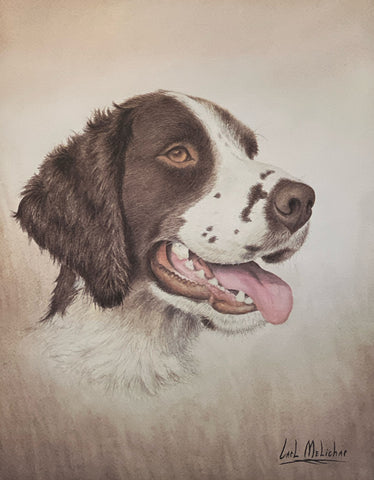 Carl Melichar Hunting Dog Print Briggs Springer Spaniel A/P (9.5"x12")