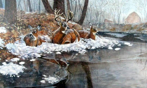 Jim Hansel Creekside - 16" x 12" Open Edition