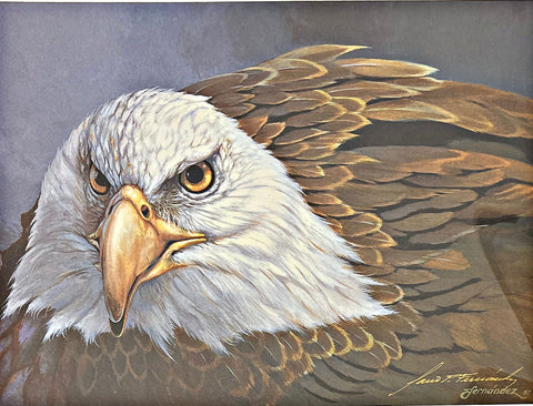 Mario Fernandez Gold Signature Eagle Print I to Eye 10"x7.5"