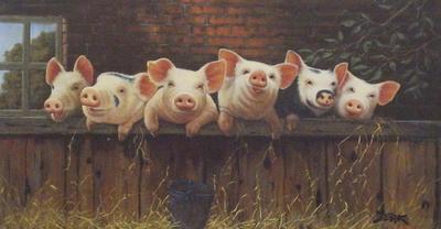 Derk Hansen "Board Meeting" Pig Art Print 18" x 10.5"