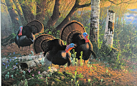 Michael Sieve Game Bird Art Print We Three Kings-Turkey S/N 27"x17" #7 of #2500