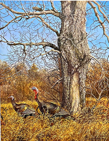 Richard Plasschaert Tranquil Autumn Day Turkey S/N art Print 18 x 23