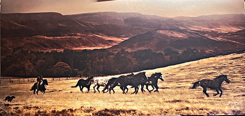 Patricia Leigh Western Wild Horse Art Print Leader of the Pack (24"x12")