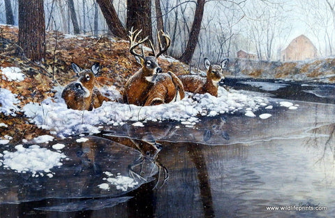Jim Hansel Creekside - 12"x 7.75" Open Edition