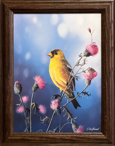 Jim Hansel American Goldfinch Decorator Art Print-Framed 11.5 x 14.5