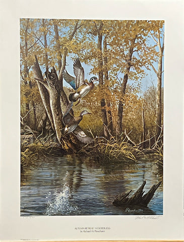 Richard Plasschaert Autumn Retreat Wood Ducks S/N Art Print 17 x 23.5