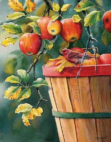 Susan Bourdet S/N Art Print Fall Apple Harvest-Purple Finch cert (14.5x18.5)