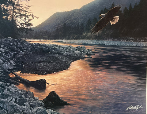 Collin Bogle, The Edge of Tranquility S/O Eagle Art Print (23x18)