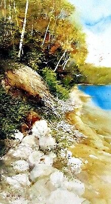 Shoreline Color Lake Tree Seagull Print  By Randall Higdon Signed and Numbered