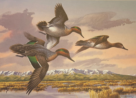 Jim Killen 1988 Idaho Migratory Waterfowl Stamp Print