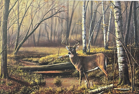 Lynda Woods Hunter's Daydream Whitetail Buck S/N Art Print 24 x 16