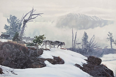 Rod Frederick along the Ridge Wolves Image Size 32.5 x 21.5 plus border