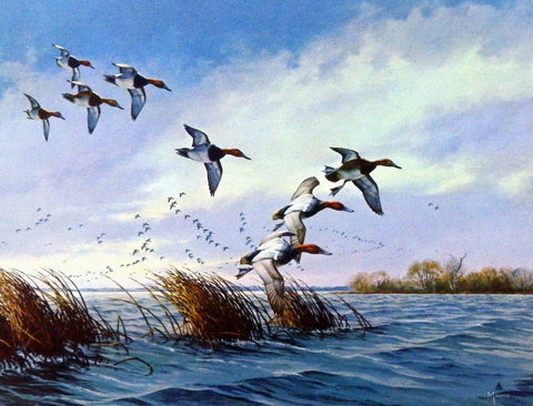 David Maass Ducks Flying Low - 9.5"x7.25"- Open Edition