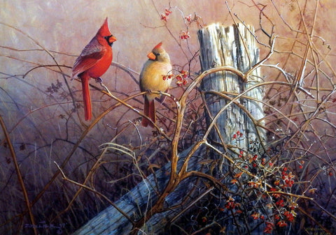 Scott Zoellick Frankly Scarlet - 8"x6"- Open Edition Cardinal Art Print - 8"x6"- Open Edition