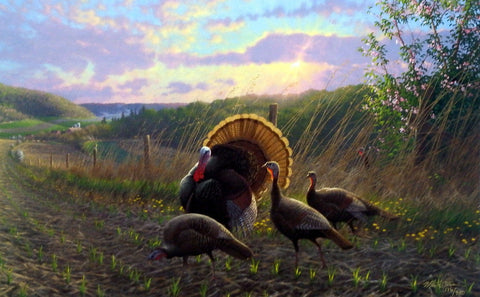 Michael Sieve Golden Fan Club- Wild Turkeys - 27.5"x17" Signed/Numbered