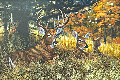 Ron Orlando A Shift in the Wind S/N Whitetail Deer Art Print-24 x 16