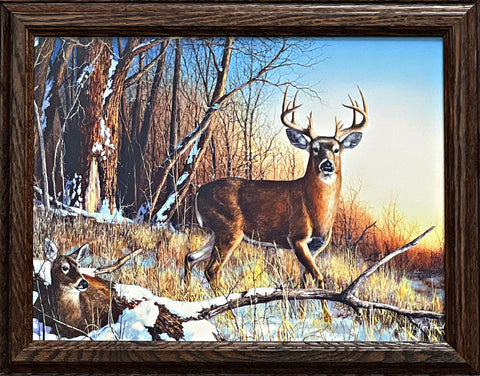 Jim Hansel Standing Guard Deer Buck Framed-Canvas Art Print