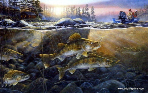 Terry Doughty Walleyes on the Rocks - 12"x7.75" Open Edition