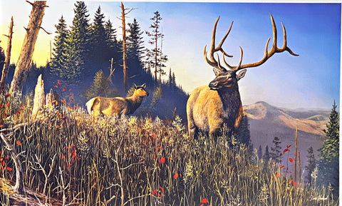 Jim Hansel Open Edition Elk Print Big Sky Monarch 21x13