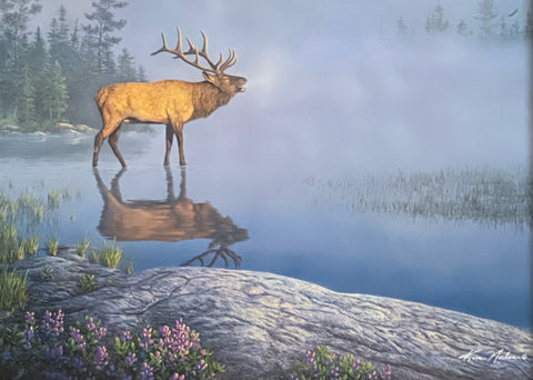 Kim Norlien Elk Print Bugle Boy (12x9)