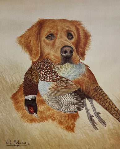Carl Melichar Hunting Dog Art Print Golden Retriever with Pheasant S/N (12x15)