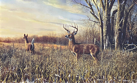 Jim Hansel Whitetail Deer Art Print Breaking Cover 21x13