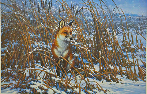 Michael Sieve Wildlife Art Print Cattail Swamp-Red Fox S/N 25"x16.5"