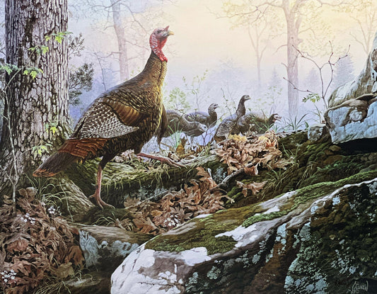 Al Agnew Wild Turkey Signed Art Print Spring Beauties (22"x17")