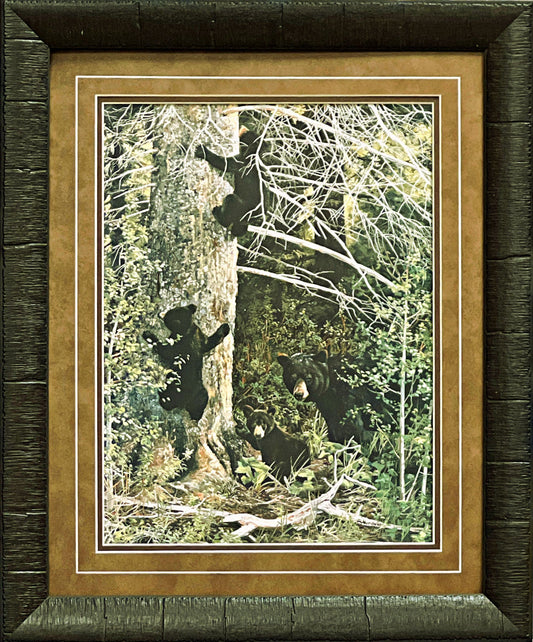 Andrew Kiss 'Family Gathering' Black Bear Wildlife Art Print, Double Matted, Oak Frame, 15 x 19 inches
