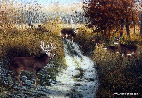 Patrick Gibbs The Mating Game - 18"x10.5" Signed/Numbered