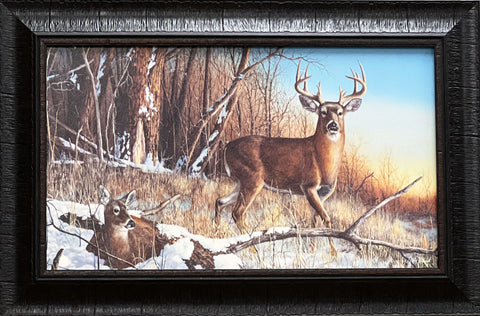Jim Hansel, Resting Place Deer Buck Studio Canvas Art Print 22 x 14